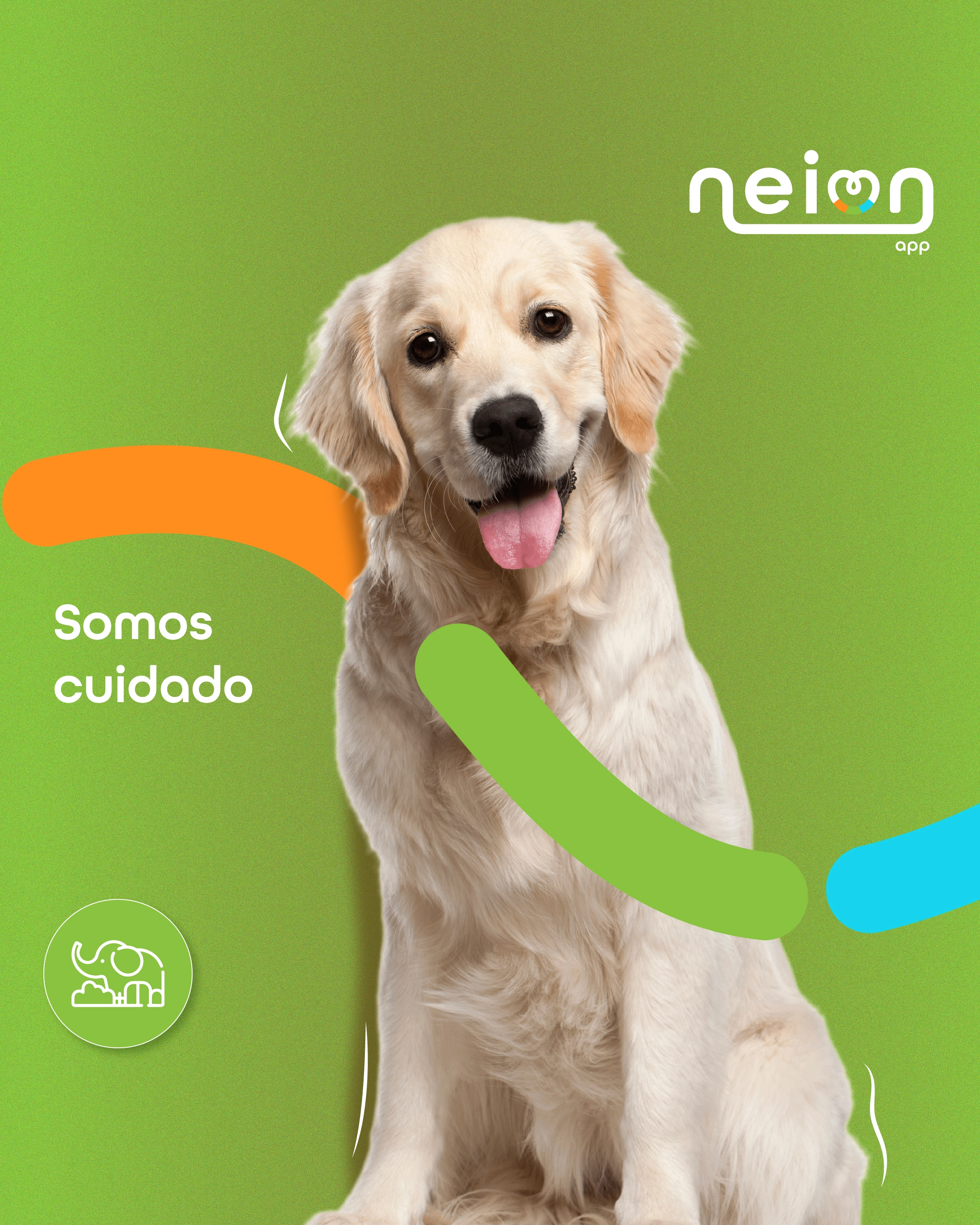 Tu mascota también es familia — Cuidado de mascotas